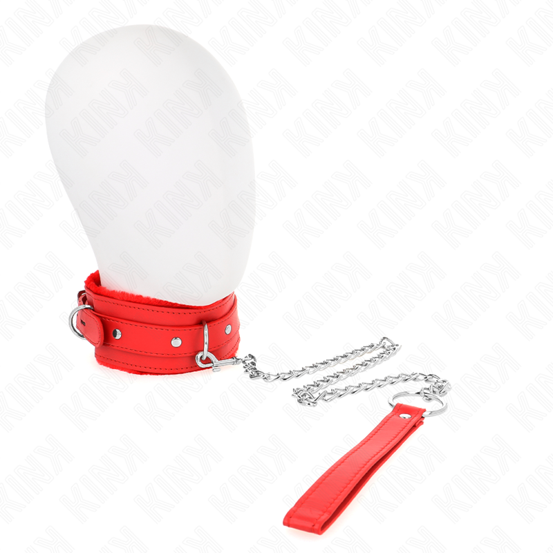 Collier BDSM avec Laisse Métallique 65 cm Réglable 36-42 cm - Kink